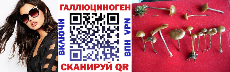 Галлюциногенные грибы ЛСД  сколько стоит  Волгоград 