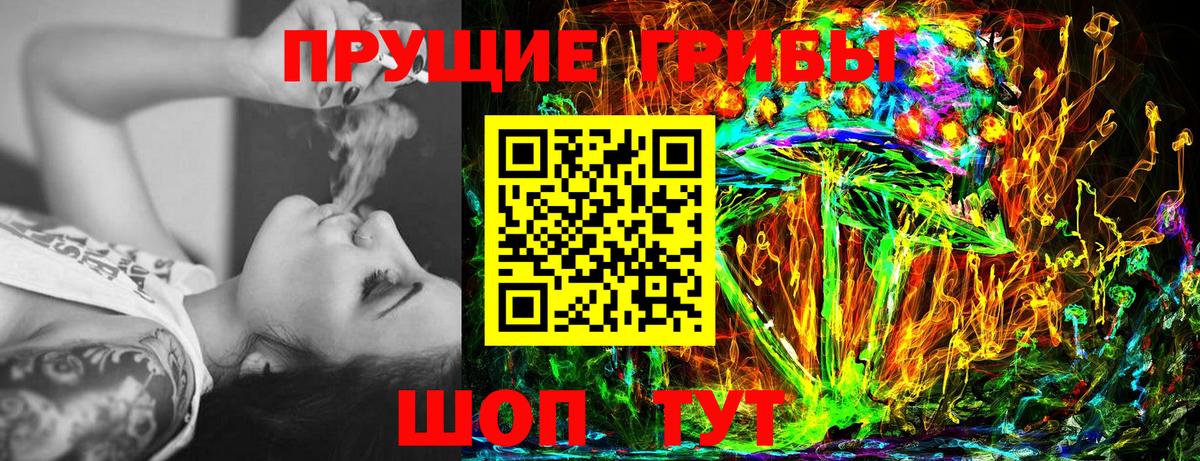 Псилоцибиновые грибы Psilocybe Волгоград