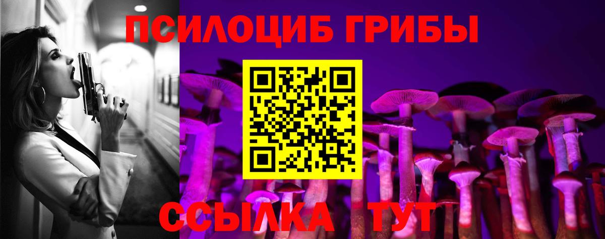 купить закладку  Псилоцибиновые грибы ЛСД  Вход с VPN  Волгоград 