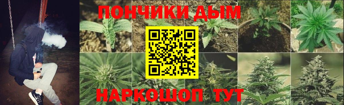 Бошки марихуана Amnesia  Вход с VPN  Марихуана семена  Каннабис Bruce Banner  МАРИХУАНА марихуана  Волгоград 